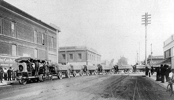 Lima beans are hauled in sacks in Oxnard, circa 1920. (photo courtesy of the Museum of Ventura County)